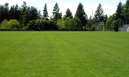 North Robinswood Sports Fields