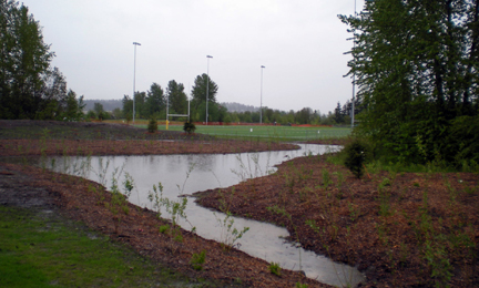 Warren G. Magnuson Park 